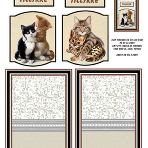 2 katte, Quickies card